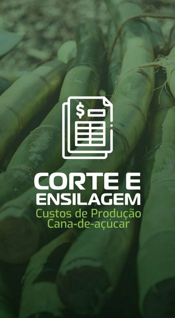 Custos de Produção Cana-de-açúcar – Corte e ensilagem