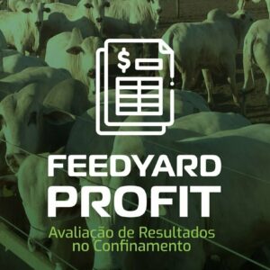 FeedYard Profit: Avaliação de Resultados e Confinamento