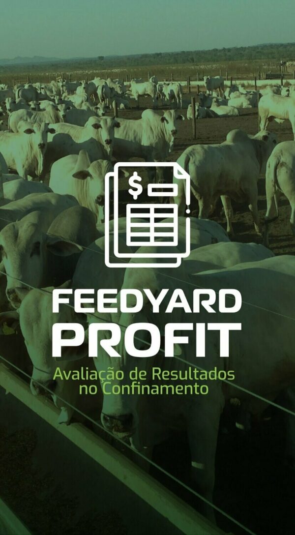FeedYard Profit: Avaliação de Resultados e Confinamento