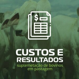 Suplementação de Bovinos em Pastagens: Custos e Resultados