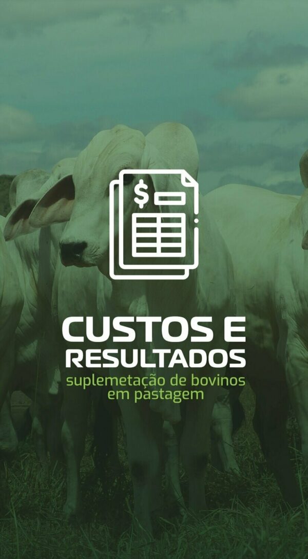 Suplementação de Bovinos em Pastagens: Custos e Resultados