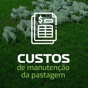 Custos de Formação e Manutenção de Pastagens