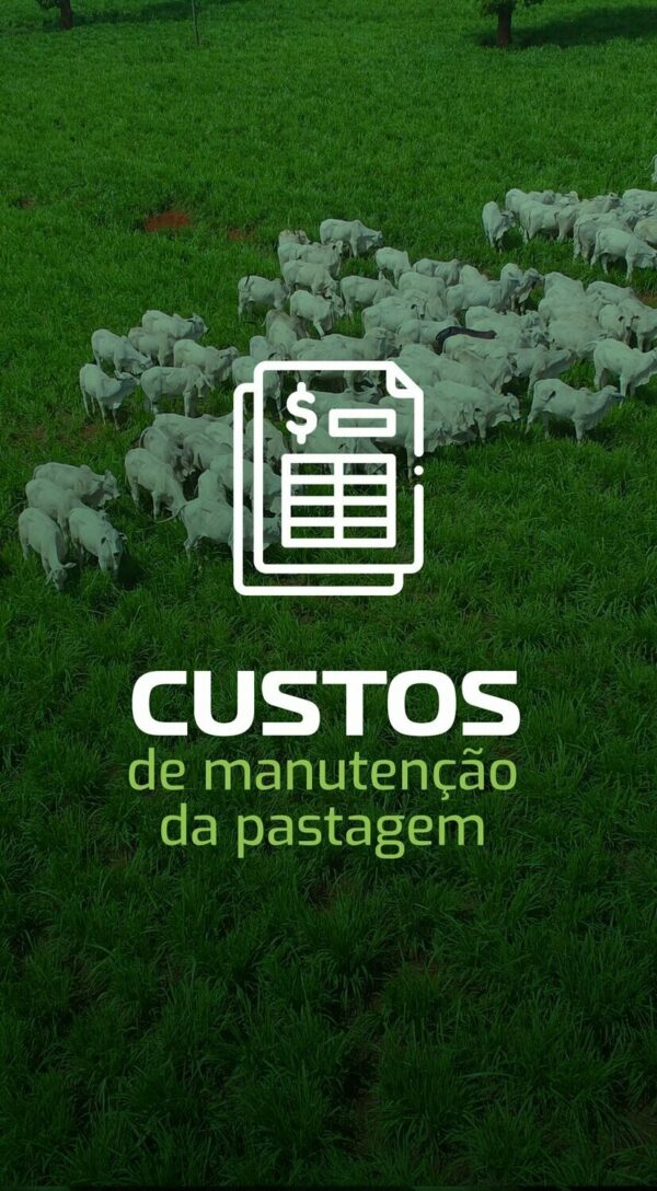 Custos de Formação e Manutenção de Pastagens